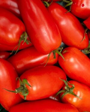Pomodoro San Marzano