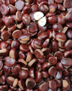 Castagne
